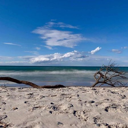 Ferienapartment Wiese & Meer Auf Ruegen Neddesitz Exteriör bild