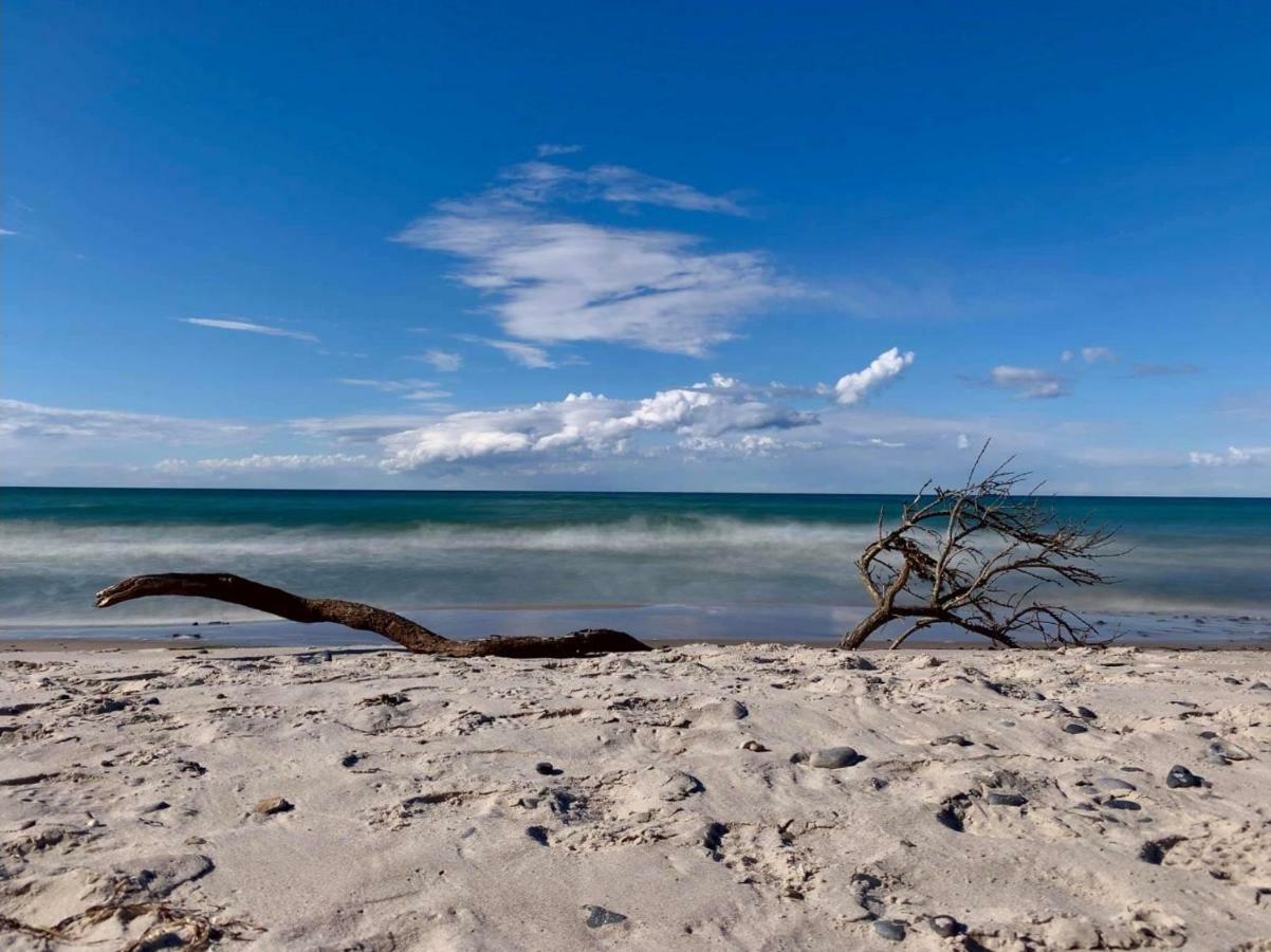 Ferienapartment Wiese & Meer Auf Ruegen Neddesitz Exteriör bild