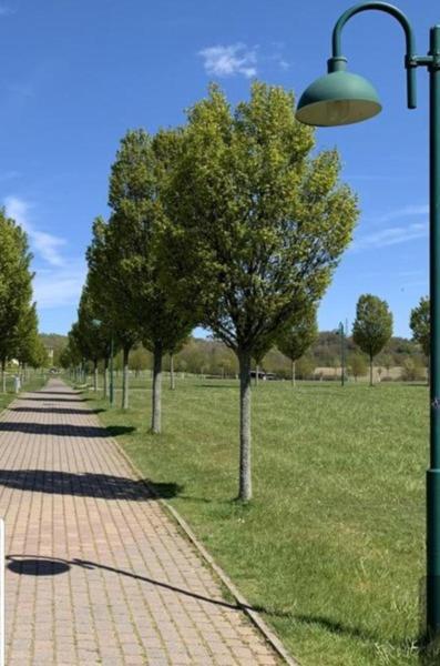 Ferienapartment Wiese & Meer Auf Ruegen Neddesitz Exteriör bild