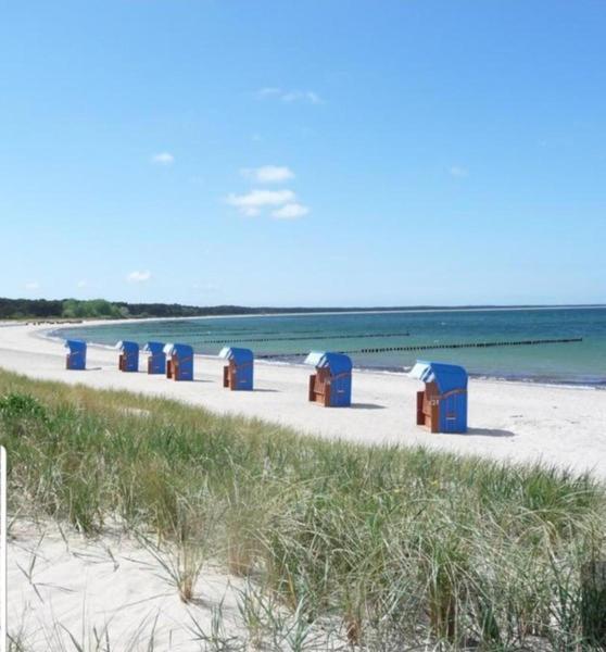 Ferienapartment Wiese & Meer Auf Ruegen Neddesitz Exteriör bild