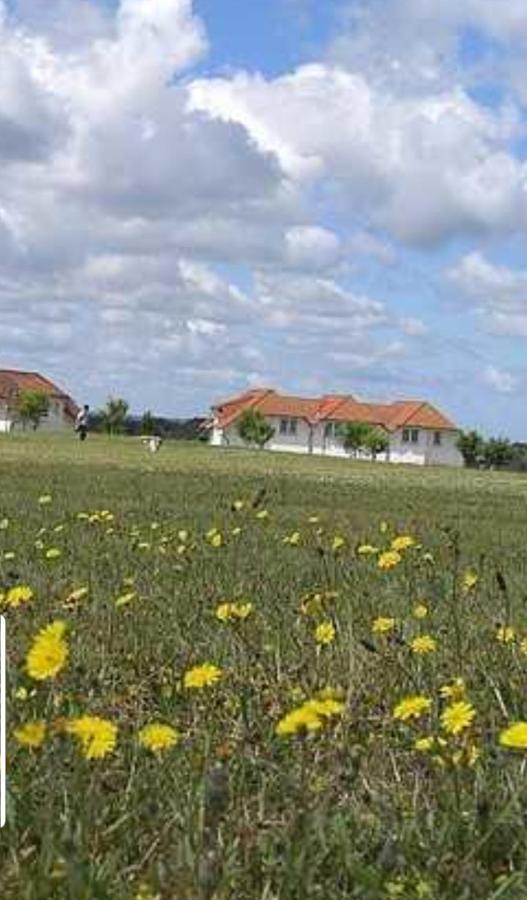 Ferienapartment Wiese & Meer Auf Ruegen Neddesitz Exteriör bild