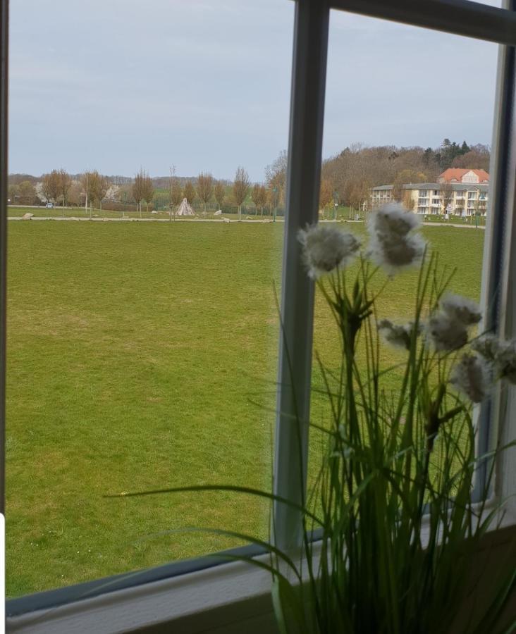 Ferienapartment Wiese & Meer Auf Ruegen Neddesitz Exteriör bild